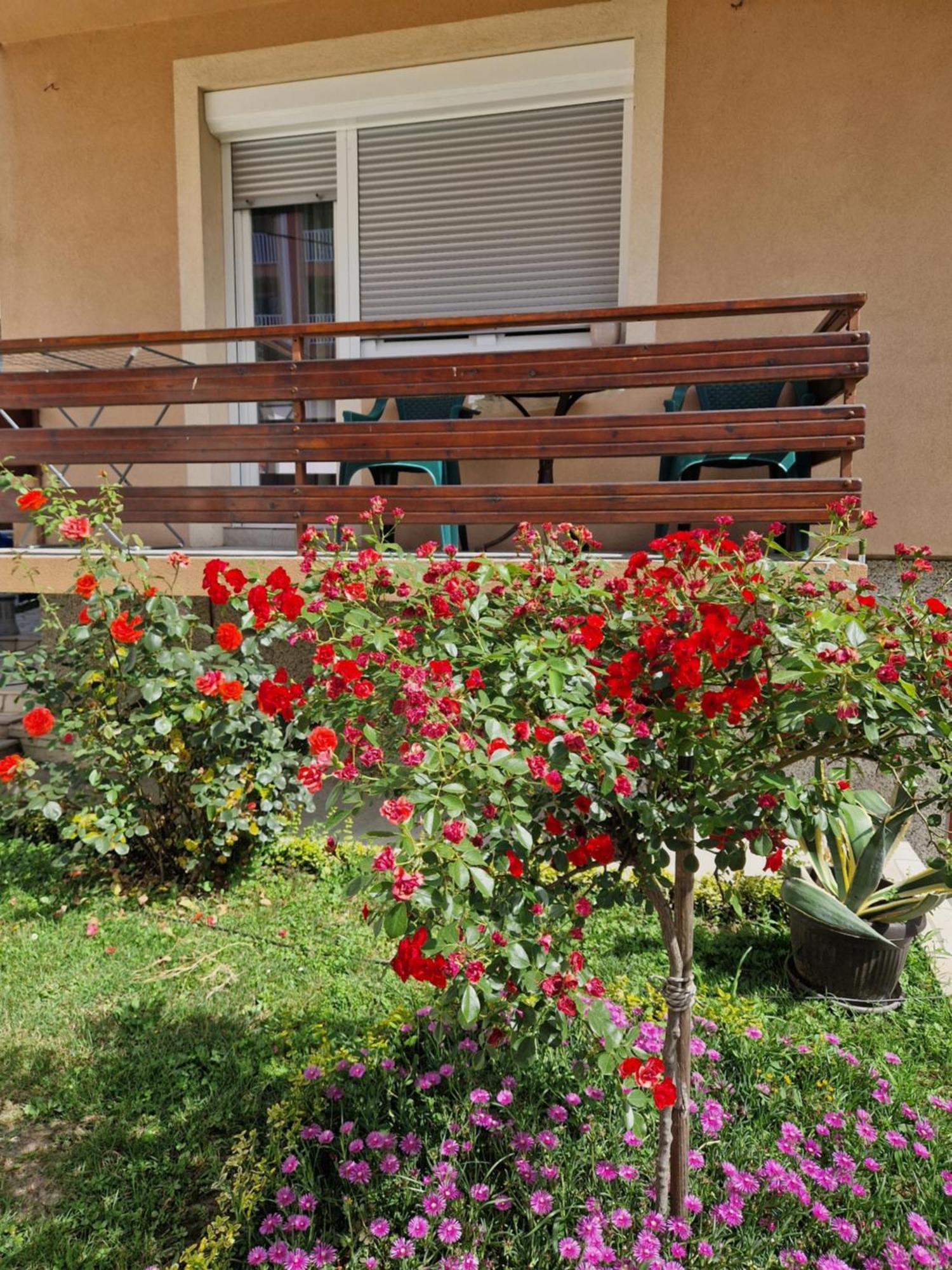 Guesthouse Irac Tuzla Exterior photo
